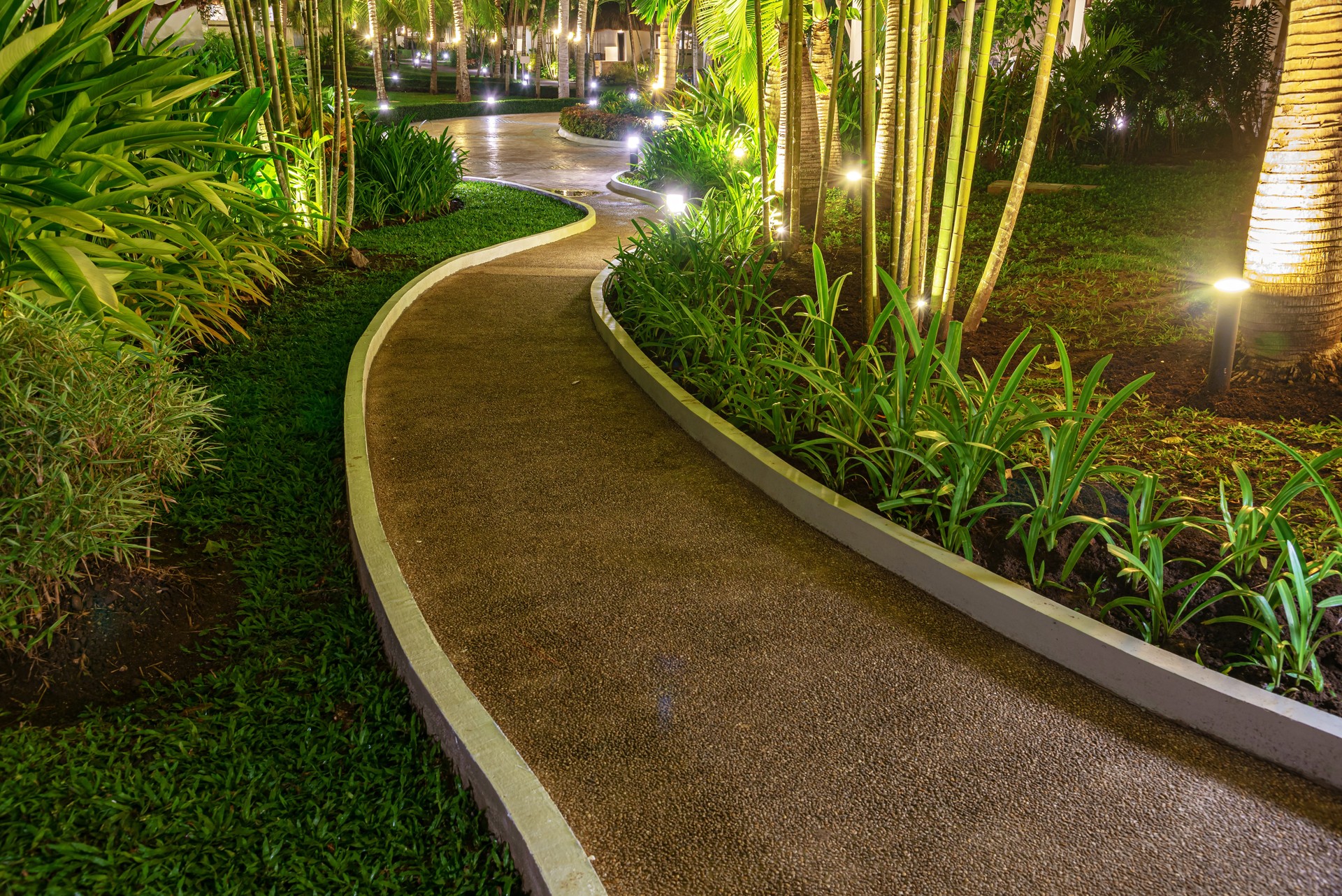 Tropical garden in the night